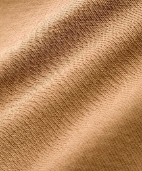 Russell Athletic(ラッセルアスレティック)の「Bookstore Sweat Pullover Hoodie&Shorts(セットアップ)(スウェット・レディース・ブルー/ブラウン系その他2・1)」の18枚目の写真