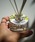 COMMON WARE�i�R�����E�F�A�[�j�́uEJ:�yGREEN OASIS�z���[�h�f�B�t���[�U�[70ml�i���[���t���O�����X/�����j�v�b�z���C�g�n���̑�4