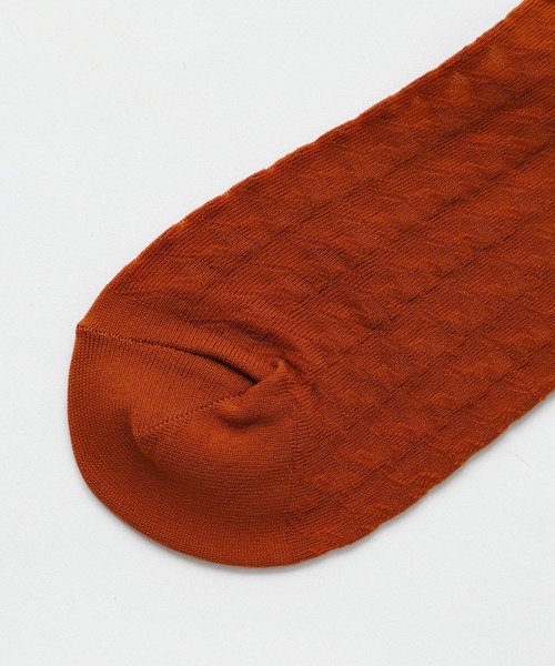 X-girl（エックスガール）の「SHEER HIGH SOCKS（ソックス/靴下・レディース・ブラック/ブラウン・ONE SIZE）」の10枚目の写真