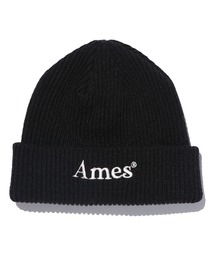 AMESWORLDWIDE | 【UNISEX】AMES WORLDWIDE／カラーロゴビーニー(ニットキャップ/ビーニー)
