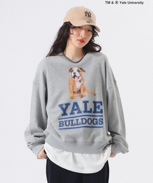 BEAMS BOY（ビームスボーイ）の「【別注】THE BOOKSTORE / YALE スウェット 25FW（スウェット・レディース・グレー/ネイビー・ONE SIZE）」の6枚目の写真