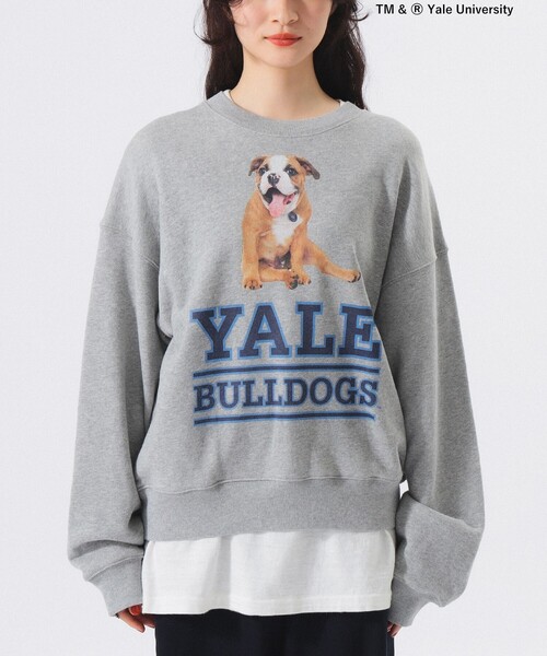 BEAMS BOY（ビームスボーイ）の「【別注】THE BOOKSTORE / YALE スウェット 25FW（スウェット・レディース・グレー/ネイビー・ONE SIZE）」の7枚目の写真
