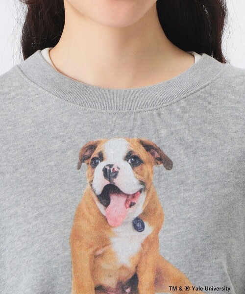 BEAMS BOY（ビームスボーイ）の「【別注】THE BOOKSTORE / YALE スウェット 25FW（スウェット・レディース・グレー/ネイビー・ONE SIZE）」の10枚目の写真