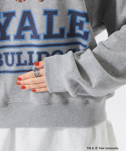 BEAMS BOY（ビームスボーイ）の「【別注】THE BOOKSTORE / YALE スウェット 25FW（スウェット・レディース・グレー/ネイビー・ONE SIZE）」の11枚目の写真