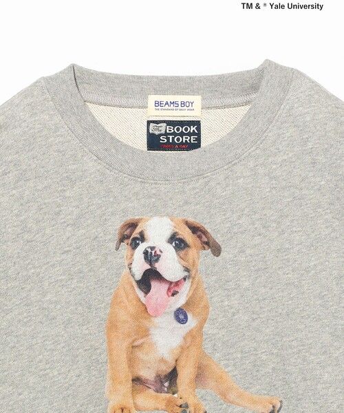 BEAMS BOY（ビームスボーイ）の「【別注】THE BOOKSTORE / YALE スウェット 25FW（スウェット・レディース・グレー/ネイビー・ONE SIZE）」の15枚目の写真