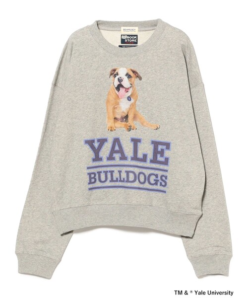 BEAMS BOY（ビームスボーイ）の「【別注】THE BOOKSTORE / YALE スウェット 25FW（スウェット・レディース・グレー/ネイビー・ONE SIZE）」の17枚目の写真