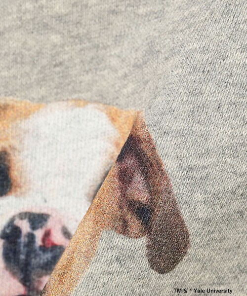 BEAMS BOY（ビームスボーイ）の「【別注】THE BOOKSTORE / YALE スウェット 25FW（スウェット・レディース・グレー/ネイビー・ONE SIZE）」の19枚目の写真