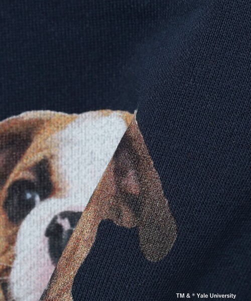 BEAMS BOY（ビームスボーイ）の「【別注】THE BOOKSTORE / YALE スウェット 25FW（スウェット・レディース・グレー/ネイビー・ONE SIZE）」の22枚目の写真