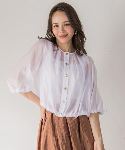 オオゴマシジミ 北海道 月形町産