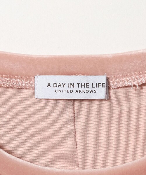 A DAY IN THE LIFE UNITED ARROWS(アデイインザライフユナイテッドアローズ)の「ベロア ロングスリーブ カットソー -ウォッシャブル- <A DAY IN THE LIFE>(Tシャツ/カットソー・レディース・オフホワイト/ライトピンク/モカ/ネイビー・FREE)」の17枚目の写真