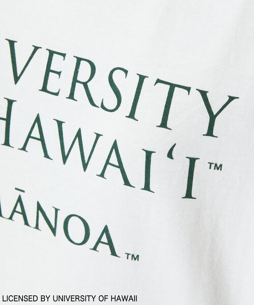 FREAK'S STORE（フリークスストア）の「▽HAWAII SHORT SLEEVE TEE/ハワイショートスリーブTシャツ（Tシャツ/カットソー・レディース・グリーン/オリーブ/オフホワイト/ホワイト/ブルーグリーン/ナチュラル・ﾌﾘ-）」の20枚目の写真