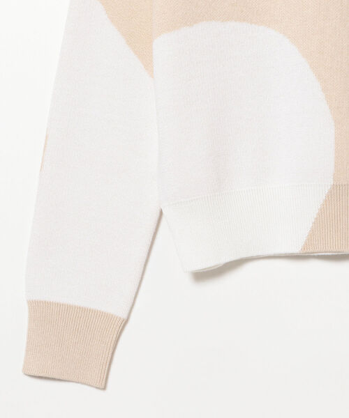 Ray BEAMS（レイビームス）の「Ray BEAMS / バイカラー パターン クルーネック ニット（ニット/セーター・レディース・ダークブラウン/ベージュ・ONE SIZE）」の14枚目の写真