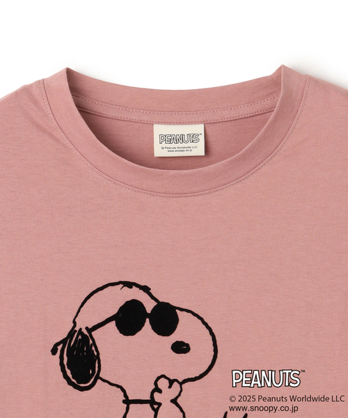 フジファブリック　Tシャツ　ウッドストック　ピーナッツ GOODS | フジファブリック Official Website