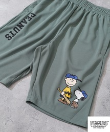 PEANUTS(s[ibc)PEANUTSvgnjJhCn[tpc(̑pc)