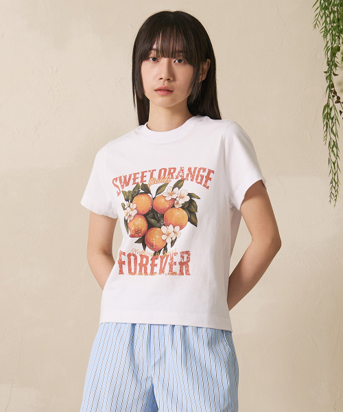 FDR(エフディーアール)の「フルーツフィールド 半袖 ブラック(Tシャツ/カットソー・レディース・その他・SMALL/MEDIUM/LARGE)」の3枚目の写真