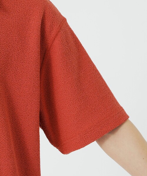 LOVELESS（ラブレス）の「サーキュラーニットハーフジッププルオーバー（Tシャツ/カットソー・メンズ・オフホワイト/ブラック・M/L）」の6枚目の写真