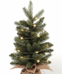 repipi armario(ss A}I)̃X^[CgK[h(Ɩ)