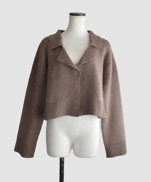 Marient（マリエント）の「テーラーカラーニットPO（ニット/セーター・レディース・グレー/ブラウン・FREE）」の17枚目の写真