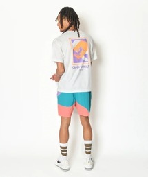 AKTR TIDELINE WAVE NYLON WIDE 5.5″ SHORTS (TL)(アクター タイドライン ウェーブ ナイロン ワイド 5.5インチ ショーツ)