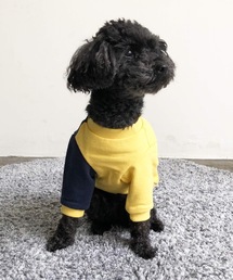 NEW JACK（ニュージャック）の「NEWJACK:配色スイッチTシャツ（ペットウェア）」