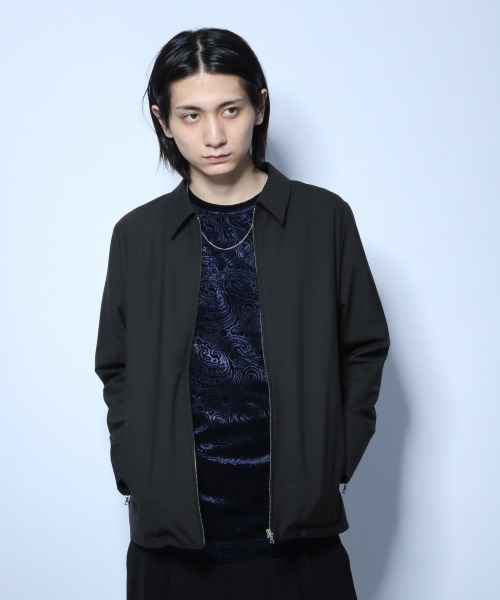 HARE（ハレ）の「TWスリムZIPブルゾン(HARE)（ブルゾン・メンズ・ブラック/グリーン/ベージュ系その他・SMALL/MEDIUM）」の2枚目の写真