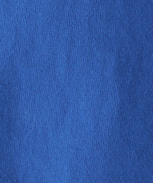 THE DAY ON THE BEACH(ザデイオンザビーチ)の「【SHIPS KIDS別注】THE DAY ON THE BEACH:ガーリック シュリンプ TEE(100~150cm)(Tシャツ/カットソー・キッズ・ダークグレー/ブルー・110/120/130/140/150/100)」の17枚目の写真