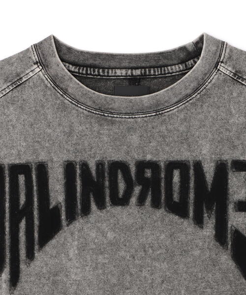 DankeSchon CHEMICAL S/S TEE PALINDORMES グレー Tシャツ DankeSchon/ダンケシェーン/CHEMICAL S/S TEE PALINDORMES（T