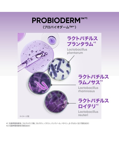 BIOHEAL BOH（バイオヒールボ）の「[セット品]プロバイオダーム 3Dリフティングアイ＆リンクルクリーム(2個入り)（美容液/オイル/クリーム・レディース・その他・FREE）」の4枚目の写真