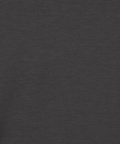 SUNSPEL(サンスペル)の「SUNSPELコットン クラシック Tシャツ(Tシャツ/カットソー・メンズ・ライトイエロー/ブラック/ダークオリーブ/スカイブルー/ネイビー/ホワイト/レンガ/ダークブラウン/チャコールグレー・M/L)」の18枚目の写真