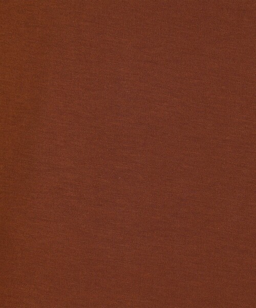 SUNSPEL(サンスペル)の「SUNSPELコットン クラシック Tシャツ(Tシャツ/カットソー・メンズ・ライトイエロー/ブラック/ダークオリーブ/スカイブルー/ネイビー/ホワイト/レンガ/ダークブラウン/チャコールグレー・M/L)」の22枚目の写真