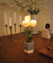 GLOBAL FORME CONCRETE(O[otHRN[g)̃L[eB[`[bv|bgLED(Ɩ)