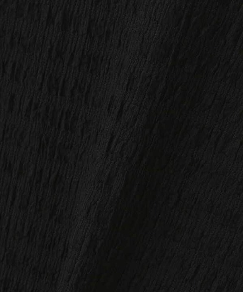 N.(N. Natural Beauty Basic)(エヌエヌナチュラルビューティーベーシック)の「シュリンクカットソー(Tシャツ/カットソー・レディース・ホワイト/ブラック・MEDIUM)」の6枚目の写真