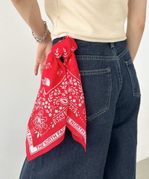 Outfitter lab（アウトフィッターラボ）の「THE NORTH FACE(ザ・ノースフェイス)/コットン プリント バンダナ スカーフ/BANDANA_PAISLEY_80'S/PINE CONE（バンダナ/スカーフ）」