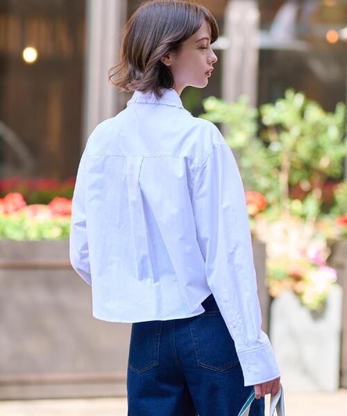 DRESSTERIOR（ドレステリア）の「【洗える/コットン混】フリルカラーオックスブラウス（シャツ/ブラウス・レディース・ブルー系その他4/ライトブルー/ホワイト・38/36/34）」の15枚目の写真