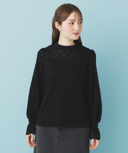 index(インデックス)の「フェザーレースハイネックキャンディトップス【洗濯機OK】(Tシャツ/カットソー・レディース・ブラック/オフホワイト・00)」の11枚目の写真