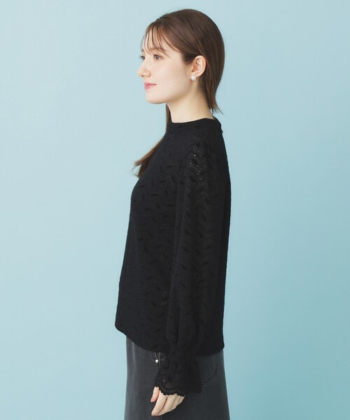index(インデックス)の「フェザーレースハイネックキャンディトップス【洗濯機OK】(Tシャツ/カットソー・レディース・ブラック/オフホワイト・00)」の12枚目の写真