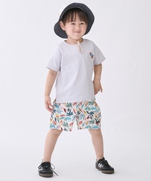 petit main(�v�e�B�}�C��)�́y�������p�z�n�[�t�p���c(���̑��p���c)
