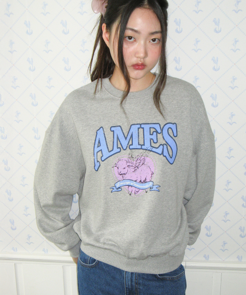 AMESWORLDWIDE(アメスワールドワイド)の「ANGEL LOVE SWEATSHIRT GREY(スウェット・レディース・その他・SMALL/MEDIUM)」の1枚目の写真