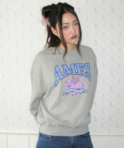 AMESWORLDWIDE(アメスワールドワイド)の「ANGEL LOVE SWEATSHIRT GREY(スウェット・レディース・その他・SMALL/MEDIUM)」の8枚目の写真