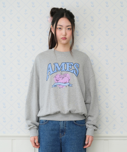 AMESWORLDWIDE(アメスワールドワイド)の「ANGEL LOVE SWEATSHIRT GREY(スウェット・レディース・その他・SMALL/MEDIUM)」の7枚目の写真