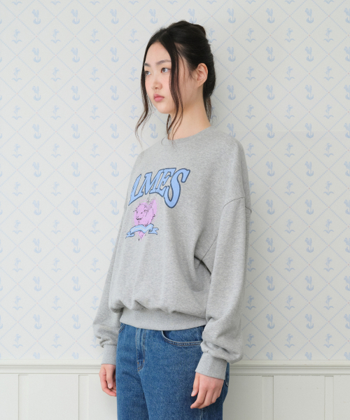 AMESWORLDWIDE(アメスワールドワイド)の「ANGEL LOVE SWEATSHIRT GREY(スウェット・レディース・その他・SMALL/MEDIUM)」の6枚目の写真