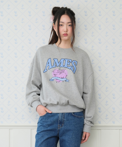 AMESWORLDWIDE(アメスワールドワイド)の「ANGEL LOVE SWEATSHIRT GREY(スウェット・レディース・その他・SMALL/MEDIUM)」の5枚目の写真