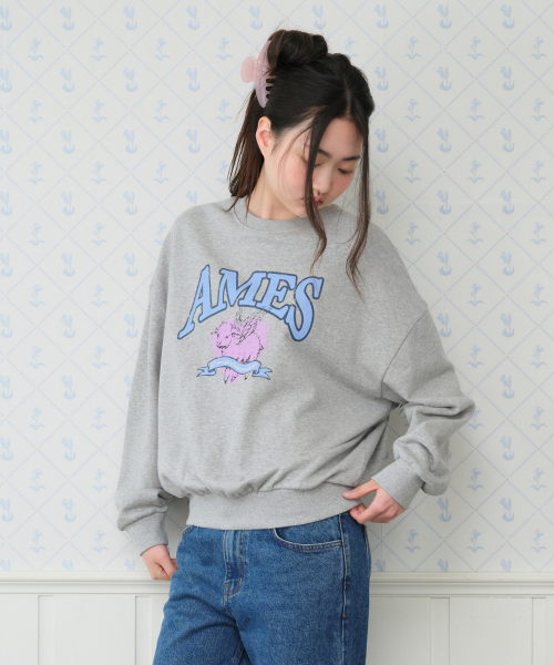 AMESWORLDWIDE(アメスワールドワイド)の「ANGEL LOVE SWEATSHIRT GREY(スウェット・レディース・その他・SMALL/MEDIUM)」の4枚目の写真