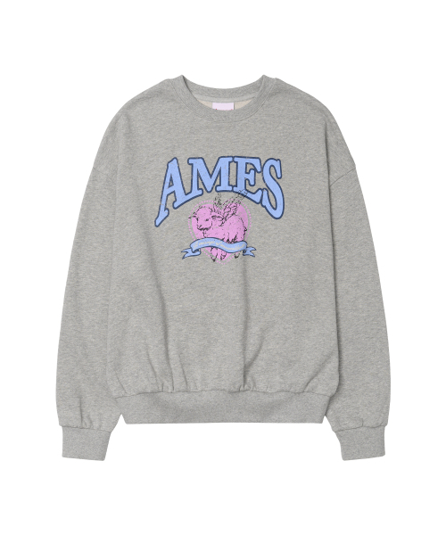 AMESWORLDWIDE(アメスワールドワイド)の「ANGEL LOVE SWEATSHIRT GREY(スウェット・レディース・その他・SMALL/MEDIUM)」の3枚目の写真