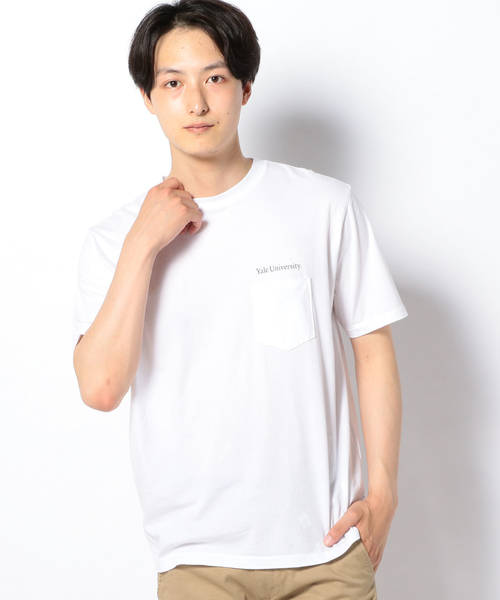 SUNNY  SPORTS（サニースポーツ）の「SUNNYSPORTS: YALE Tシャツ（Tシャツ/カットソー・メンズ・ストーン/ライトホワイト/ホワイト/ホワイト系その他・LARGE/MEDIUM）」の3枚目の写真