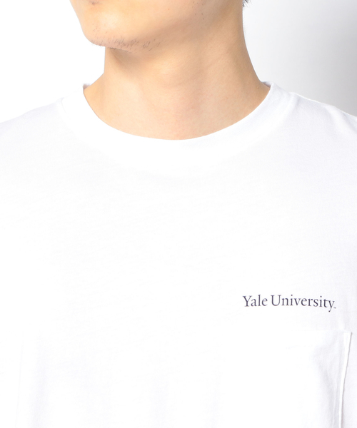 SUNNY  SPORTS（サニースポーツ）の「SUNNYSPORTS: YALE Tシャツ（Tシャツ/カットソー・メンズ・ストーン/ライトホワイト/ホワイト/ホワイト系その他・LARGE/MEDIUM）」の16枚目の写真