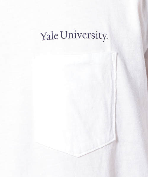 SUNNY  SPORTS（サニースポーツ）の「SUNNYSPORTS: YALE Tシャツ（Tシャツ/カットソー・メンズ・ストーン/ライトホワイト/ホワイト/ホワイト系その他・LARGE/MEDIUM）」の6枚目の写真