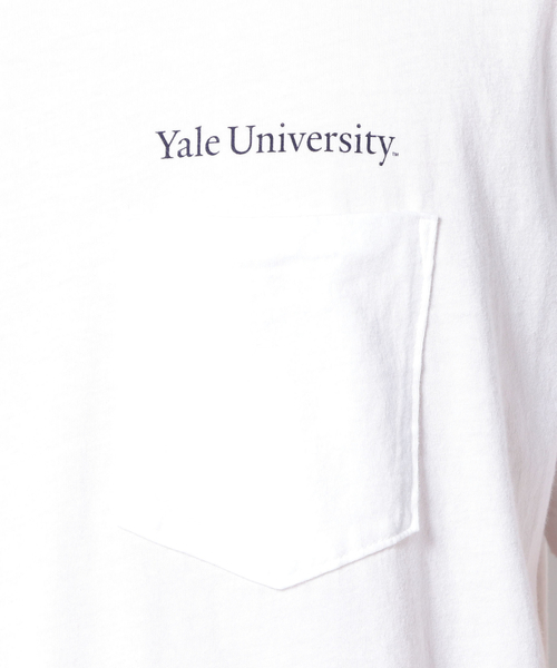 SUNNY  SPORTS（サニースポーツ）の「SUNNYSPORTS: YALE Tシャツ（Tシャツ/カットソー・メンズ・ストーン/ライトホワイト/ホワイト/ホワイト系その他・LARGE/MEDIUM）」の5枚目の写真