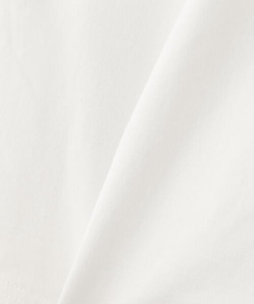 《WEB&DEP限定》BLACK SCORPIONS S/S T-SHIRT/ブラックスコーピオンズ 半袖 Tシャツ（Tシャツ/カットソー）｜AVIREX（アヴィレックス）