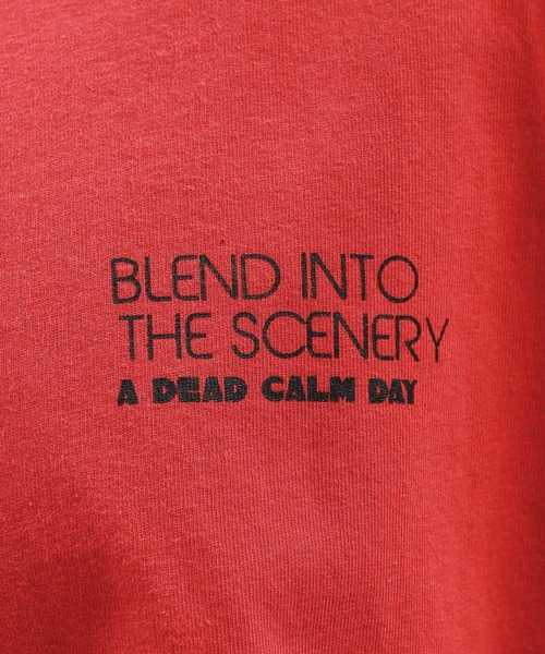 LAKOLE（ラコレ）の「シティガールプリントT半袖 / 130460（Tシャツ/カットソー・メンズ・ホワイト/ブルー/レッド・MEDIUM/LARGE/X-LARGE）」の20枚目の写真